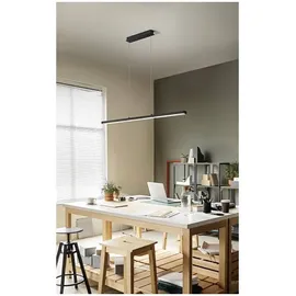 Fabas Luce Ling 1-flg. 32W Downlight und 8W Uplight 40 cm schwarz Metall