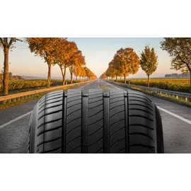 Nexen N`Fera SU1 235/30 R22 90Y
