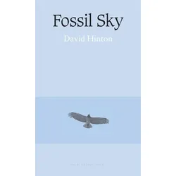 Fossil Sky