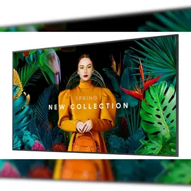 Samsung QH65C 65" schwarz