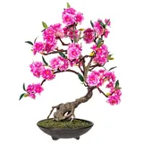 fuchs versand 24/7 Kunstbonsai Bonsai cerasum,pink ca 50cm, in Zementschale braun 20x6cm Kunstpflanze, Fuchs Versand 24/7