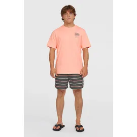 O'Neill Cali First 15'' Swimshorts Grau S