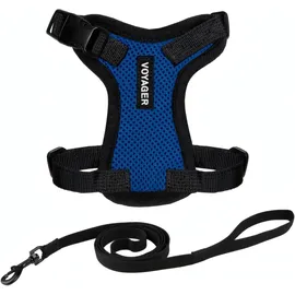 Best Pet Supplies Voyager Step-in Lock Katzengeschirr und reflektierende Katzenleine mit Neoprengriff by Best Pet Supplies - Für kleine, mittelgroße und große Katzenrassen, Königsblau / Schwarz, size XXS - 1,5 m