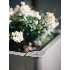 Biohort Belvedere Mini 50 53 x 53 x 45 cm dunkelgrau metallic
