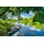 Papermoon Fototapete PAPERMOON "FRÜHLINGS-LANDSCHAFT-FLUSS BOOT BÄUME STRAND UFER WALD", bunt, B:5m L:2,8m, Vlies, Tapeten,