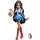 Monster High Robecca Steam (JMB81)