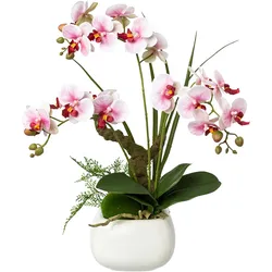 CREATIV green künstliche Pflanze Phalaenopsis im Keramiktopf, 46cm, lila, Real Touch