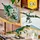 LEGO Creator 3in1 - T.Rex