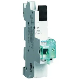 Hager SLS-Schalter 1P E-63A,für SS HTS163E