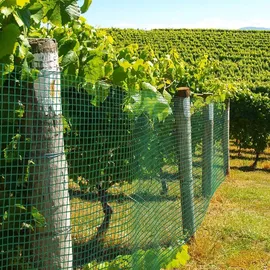 Floordirekt Volierendraht mit grüner PVC Ummantelung 50 x 5 m 2,8 kg