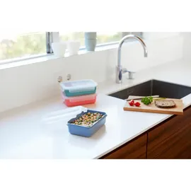 Emsa Clip & Close rechteckig koralle 0,8 l