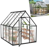 ACXIN Gewächshaus für Garten, Aluminium Treibhaus, Tomatenhaus & Pflanzenhaus mit Fundament, Dachfenster, PC-Platten, Bodenanker, Eisenverstärkung, 230x180x195cm Frühbeet, Wetterfest & UV-beständig