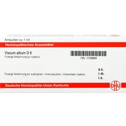 VISCUM ALBUM D 6 Ampullen 8 ml