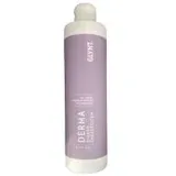 Glynt Derma Ginkgo Energeticum 500ml