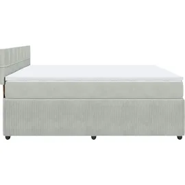 vidaXL Boxspringbett mit Matratze Hellgrau 200x200 cm Samt