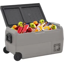 vidaXL Kühlbox mit Rollen und Griff Schwarz & Grau 36 L PP & PE