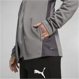 Puma teamGOAL Training Jacket