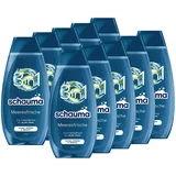 Schauma Schwarzkopf 3in1 Shampoo Meeresfrische (10x 400 ml), Haarshampoo für Haare, Körper und Gesicht, 3in1 Shampoo spendet dem Haar Feuchtigkeit und erfrischt