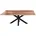 Felina 160 x 76 x 85 beige/schwarz