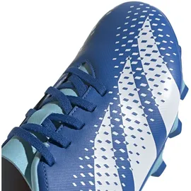 adidas Predator Accuracy.4 FG Herren Bright Royal/FTWR White 42 2/3