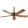 Hunter Outdoor Elements II 132 cm Deckenventilator Braun