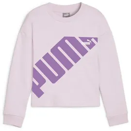 Puma Kapuzensweatshirt POWER CREW TR G lila 176 EU