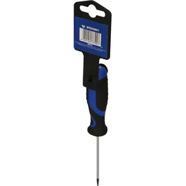BRILLIANT TOOLS Torx-Schraubendreher T6