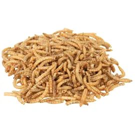 Trixie Mehlwürmer, 70 g