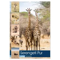 Calvendo Serengeti Pur - Tansania (Wandkalender 2026 DIN A3