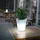 ETC Shop Solar LED Blumenkübel Kunststoff H 19 cm 2er Set weiß