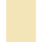 Brunnen Universalpapier A4 120 g/m2 35 Blatt