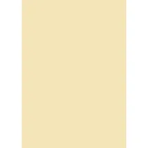Brunnen Universalpapier A4 120 g/m2 35 Blatt