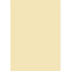 Brunnen Universalpapier A4 120 g/m2 35 Blatt