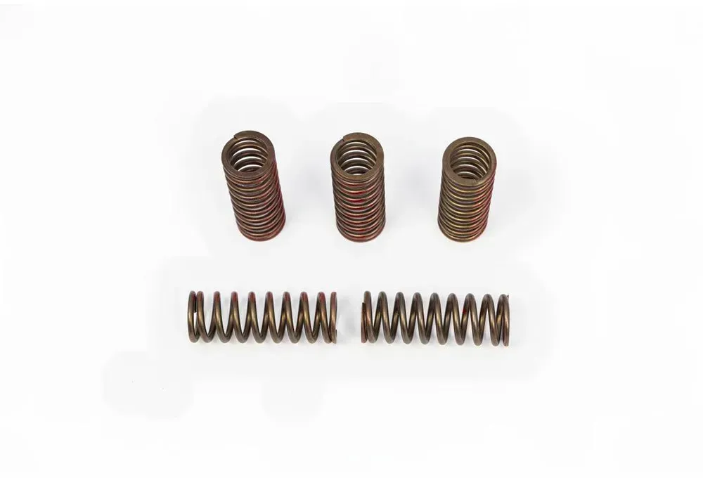 Pro Circuit Honda Csh20250-cs Kupplungsfedernsatz - One Size