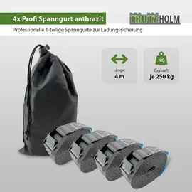 Baumarktplus Spanngurt 4 m