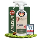 Ameisen Spray Innen & Außen 500 ml – Ameisenspray für Innenräume & Terrasse, Ameisenstopp Außen, Insektenspray, Ameisenmittel gegen Ameisen, Ameisengift Innen & Draußen