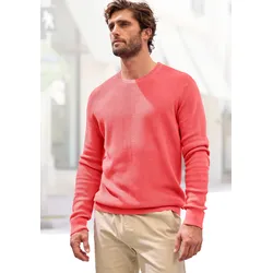 Strickpullover, Pullover in modischen Farben aus Baumwollmischung, Gr. XL (56/58), koralle, , 49584502-XL