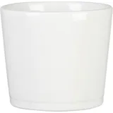 Scheurich Bertopf Serie 883 Ø 15 x 13,3 cm Alaska Weiß