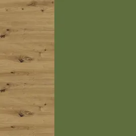 Feldmann-Wohnen Schubladenschrank Brerra 80 x 50 x 82 cm Grün