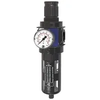 Riegler 124796-VFR 53 S Filterregler »variobloc« mit PC-Behälter, Schutzkorb,
