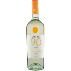 Novantaceppi Pinot Grigio Friuli DOC 2024 0,75 l