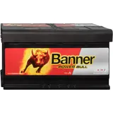 Banner Power Bull 100Ah 12V