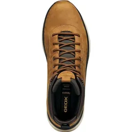 GEOX SPHERICA ACTIF X2 Brown - Braun
