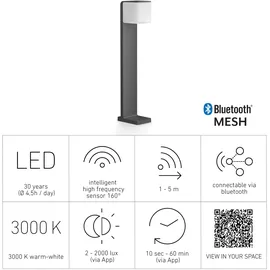 Steinel GL 80 SC anthrazit 055479