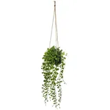 Atmosphera - Künstliche Hängepflanze Living - Zementtopf - H10-5 cm - Grün