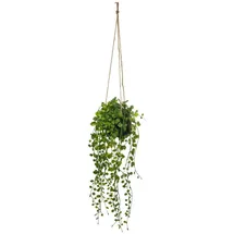 Atmosphera - Künstliche Hängepflanze Living - Zementtopf - H10-5 cm - Grün