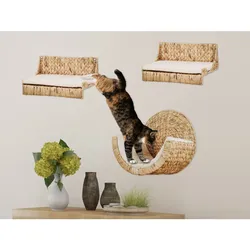 Rohrschneider Kletterwand Premium