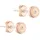 Liebeskind Berlin Ohrstecker LJ-0548-E-07 roségold Edelstahl Zirkonia