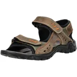 ROHDE Herren Braun 43