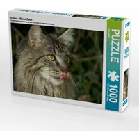 Calvendo Katzen - Maine Coon 1000 Teile Puzzle quer